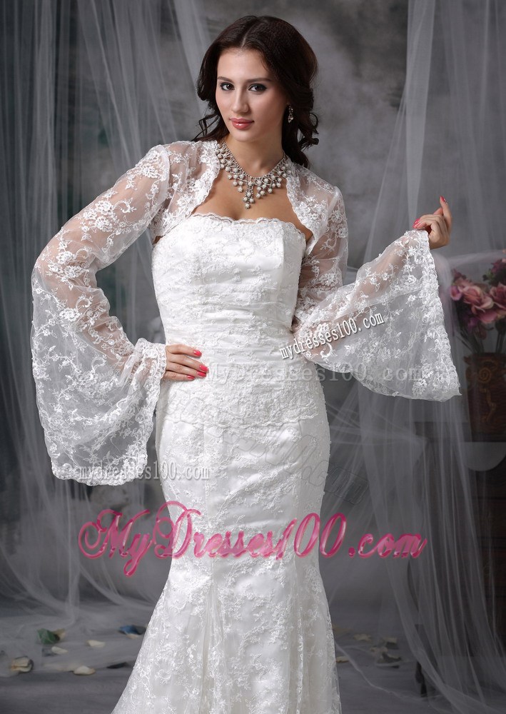 Lace Mermaid Court Train Clasp Handle Dresses for the Bride 2013